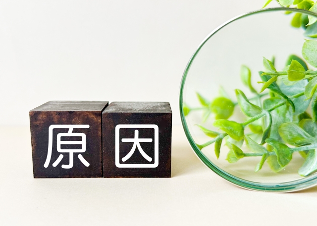 蛇口の種類別｜水漏れが起きる原因