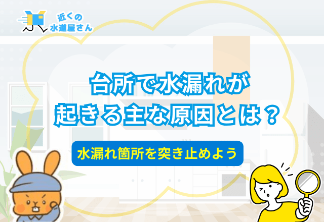 台所の水漏れの主な原因と箇所