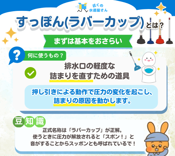 すっぽん（ラバーカップ）とは？まずは基本をおさらい