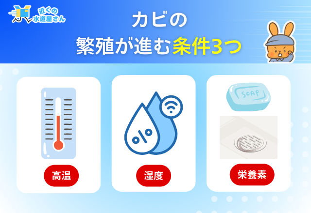 お風呂に発生するカビの種類