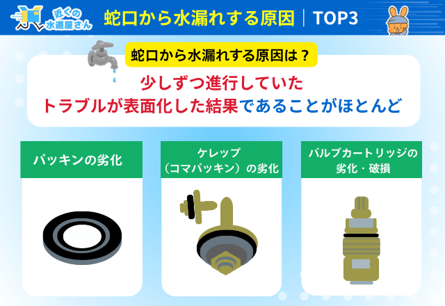 蛇口から水漏れする原因ランキング【上位3つ】