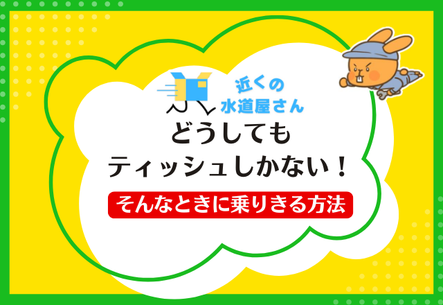 どうしてもティッシュしかない！そんなときに乗りきる方法