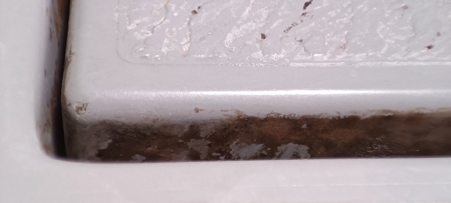 風呂場の排水口が原因ではない異臭トラブル