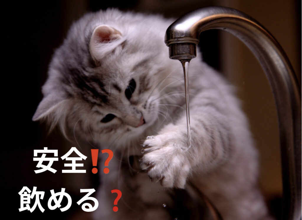 日本の水道水は安全？そのまま飲めるの？