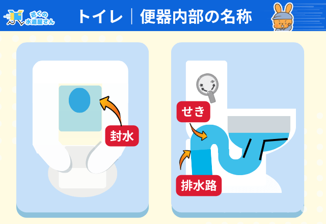 トイレ便器内の名称