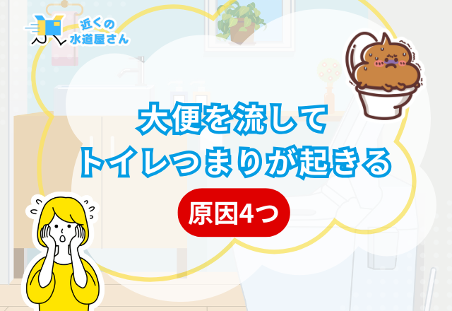 大便を流してトイレつまりが起きる原因4つ