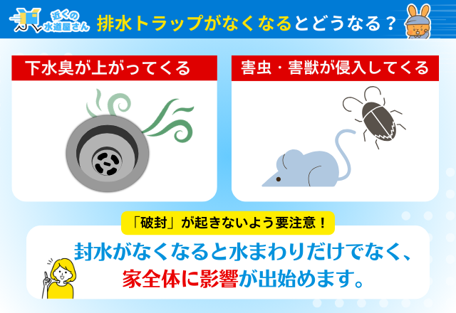 排水トラップがなくなることで起きる被害