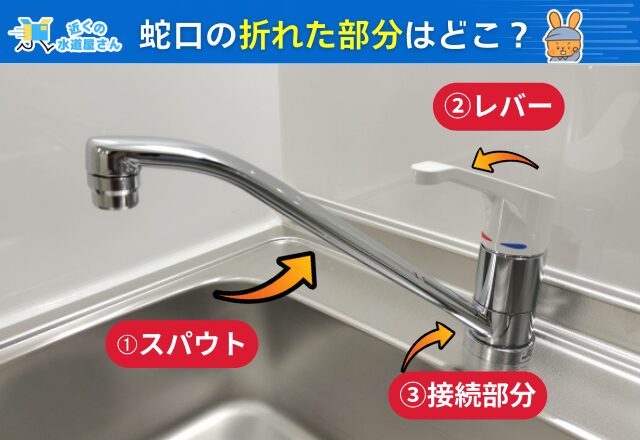 蛇口のどこが折れているのか確認する