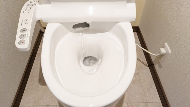 尿石が溜まりやすいトイレの特徴