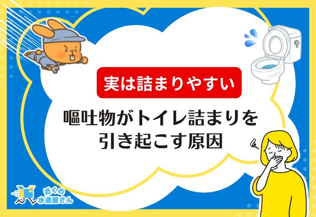 嘔吐物によるトイレ詰まりの原因