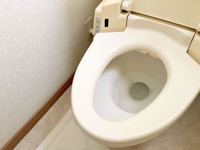 なぜトイレに黒い汚れがつくのか？【原因と正体を解明】