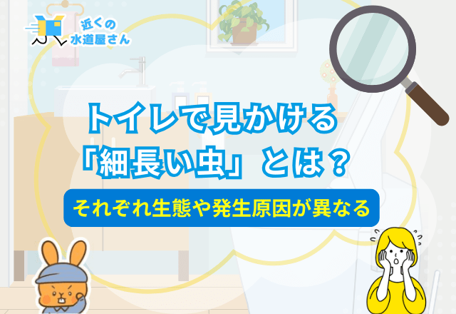 トイレで見かける「細長い虫」とは？