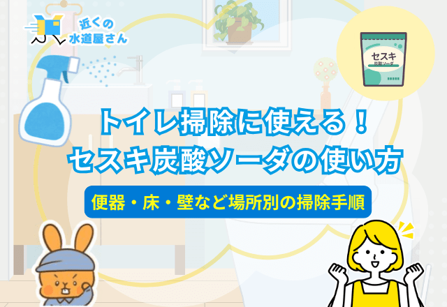 トイレ掃除に使える！セスキ炭酸ソーダの使い方