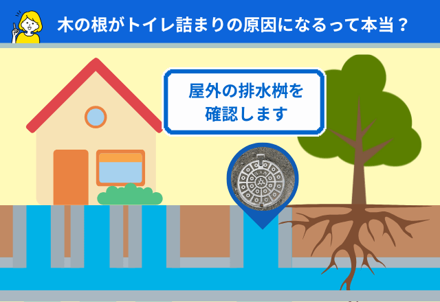 木の根がトイレ詰まりの原因になるって本当？