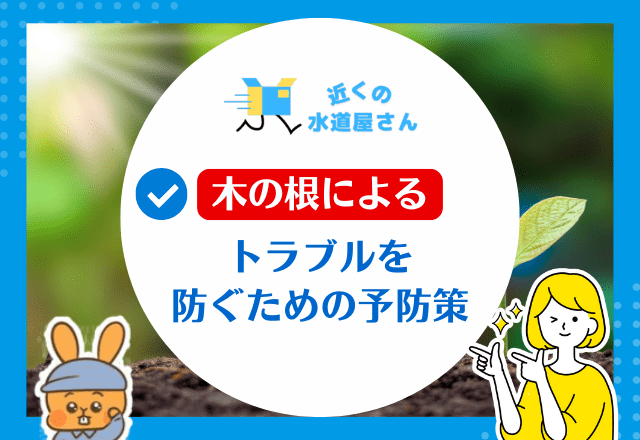 木の根によるトラブルを防ぐための予防策