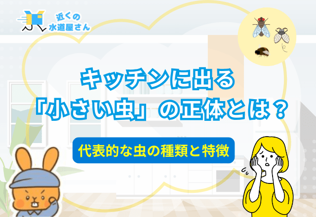 キッチンに出る「小さい虫」の正体とは？