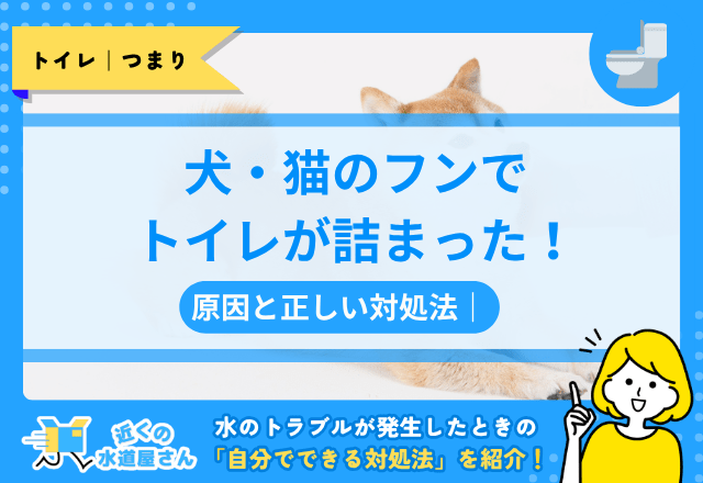 犬・猫のフンでトイレが詰まった！原因と正しい対処法｜流せる猫砂や排泄物の処理ルール