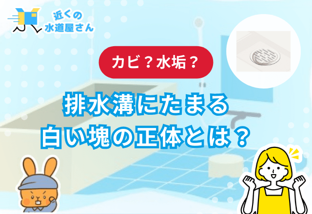 排水溝にたまる白い塊の正体とは？