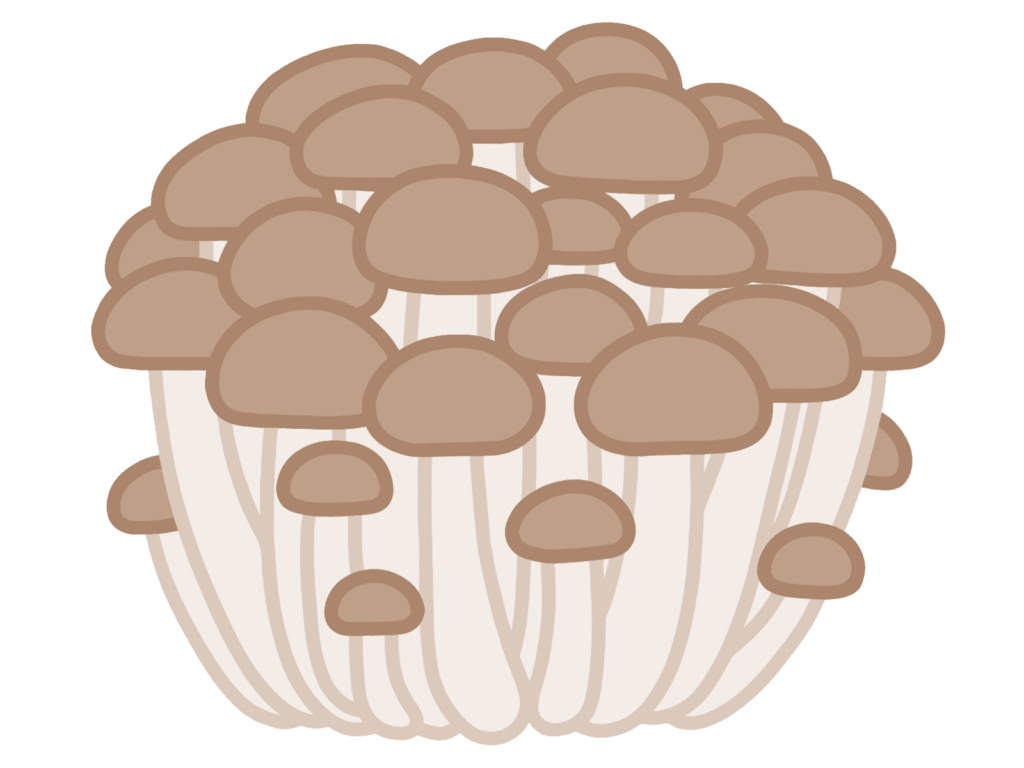 シメジ類（ヒラタケ科）