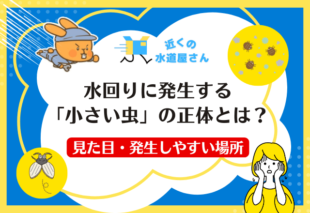水回りに発生する「小さい虫」の正体とは？