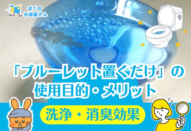 そもそも「ブルーレット置くだけ」とは？
