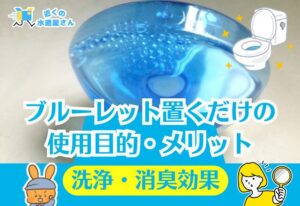 そもそも「ブルーレット置くだけ」とは？