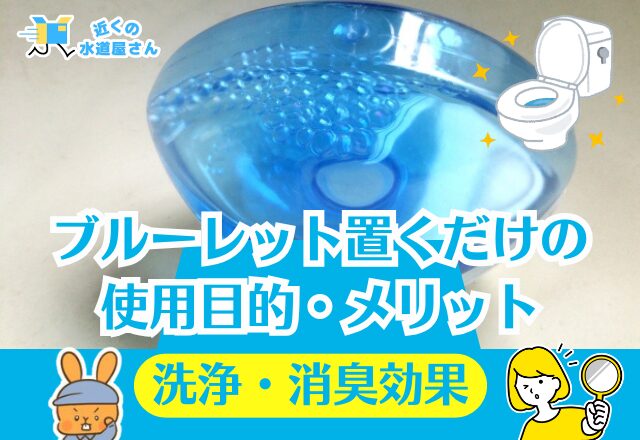 そもそも「ブルーレット置くだけ」とは?