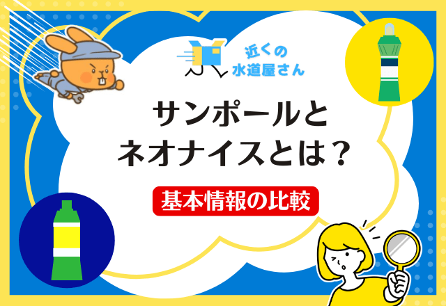 サンポールとネオナイスとは？基本情報の比較