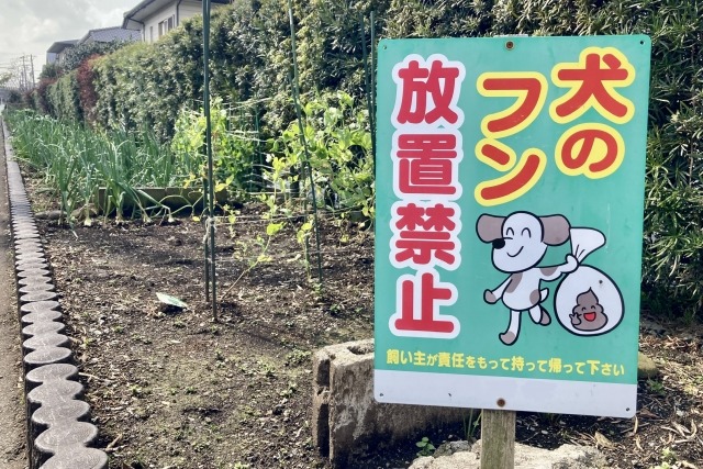 ペットのフンはどう処理すべき?おすすめの正しい方法