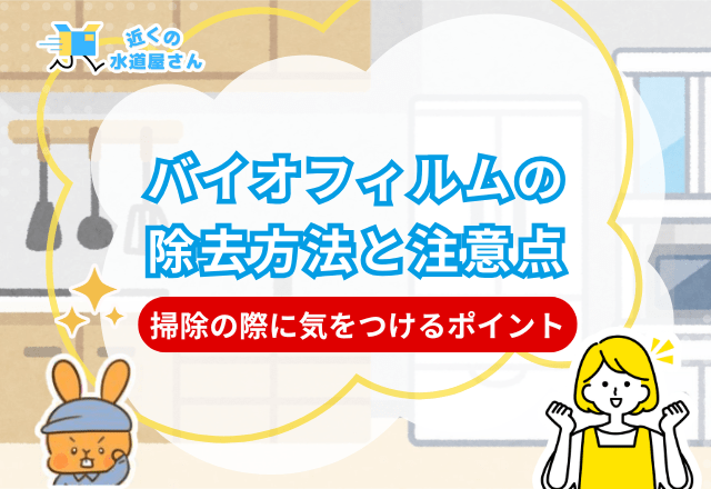 バイオフィルムの除去方法と注意点