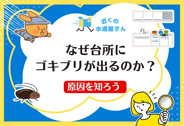 なぜ台所にゴキブリが出るのか？原因を知ろう