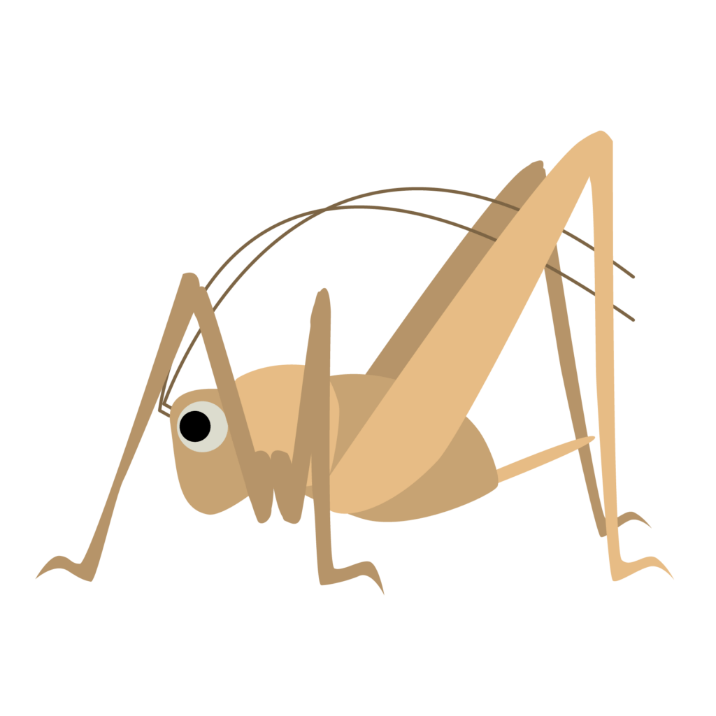 原因③：「コオロギに似た別の虫」の可能性