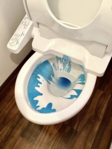 トイレの「青い汚れ」は3種類ある｜まずは原因を特定しよう
