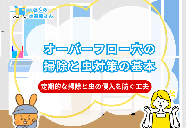 オーバーフロー穴の掃除と虫対策の基本