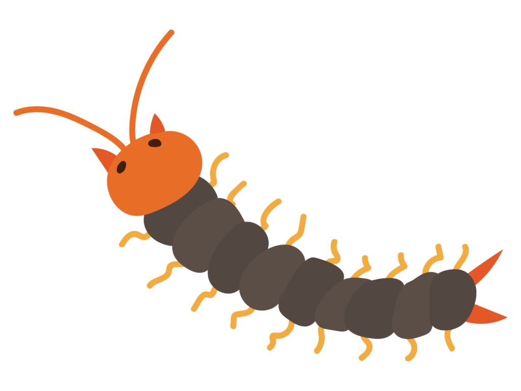 ムカデが好む場所と行動パターンを知れば、侵入理由がわかる