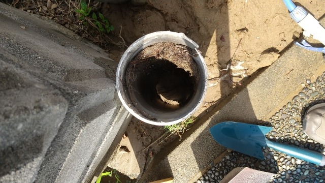 自分でできる木の根除去方法【安全にできる範囲のみ】