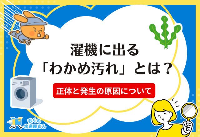 洗濯機に出る「わかめ汚れ」とは？正体と危険性