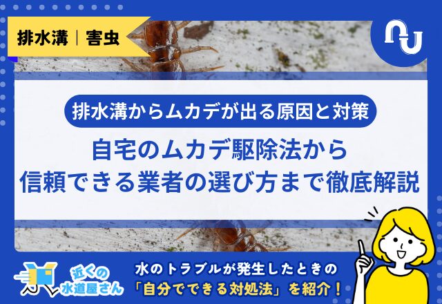 【排水口からムカデが出る原因と対策】自宅のムカデ駆除法から信頼できる業者の選び方まで徹底解説